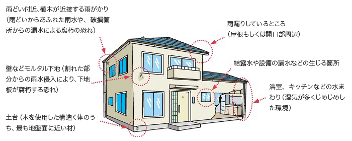 戸建住宅における木材腐朽菌が発生しやすい場所のイメージ